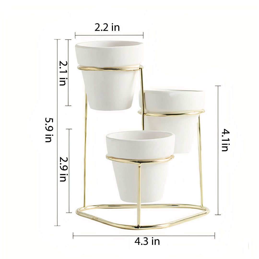 ClaudiaG 3 in 1 Planter
